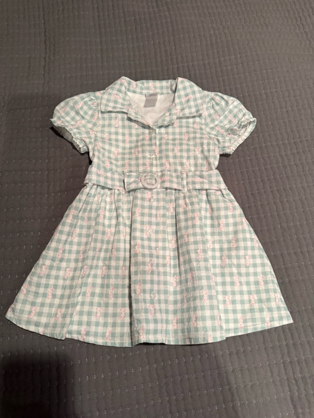 Draper James Mint Green Gingham Belted Dress with Pink Embroidery